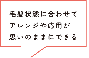 毛髪状態に合わせてアレンジや応用が思いのままにできる
